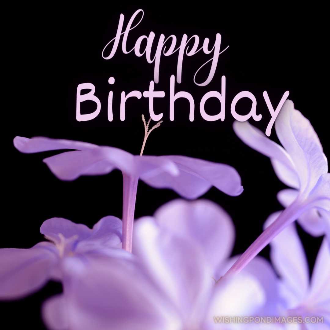 Beautiful picture of Barleria prionitis flower. Happy Birthday Purple Flower Images